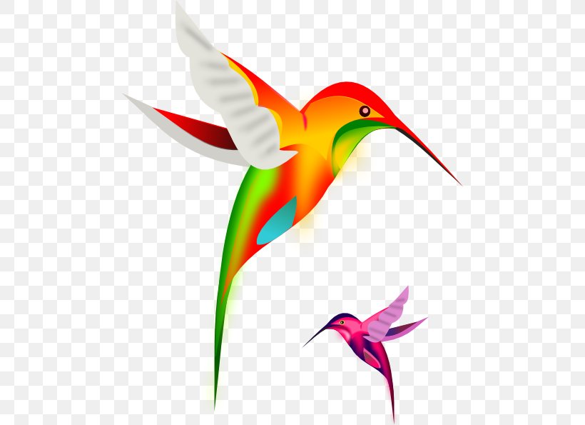 Ruby-throated Hummingbird Clip Art, PNG, 480x595px, Hummingbird, Beak,  Bird, Drawing, Fauna Download Free