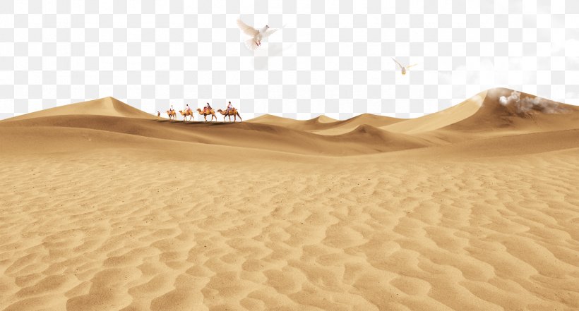 Sahara Erg Sand, PNG, 1714x923px, Sahara, Aeolian Landform, Aeolian Processes, Architecture, Beige Download Free