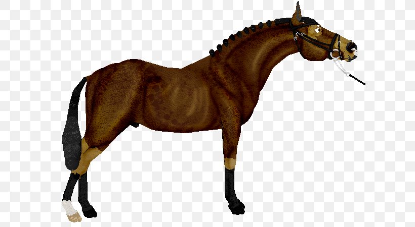Rein Mustang Stallion Mane Mare, PNG, 625x450px, Rein, Animal Figure, Bit, Bridle, Equestrian Download Free