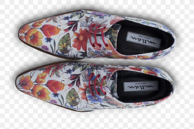 Sports Shoes Gladiator De Slaaf McDaddy Store, PNG, 980x653px, Watercolor, Cartoon, Flower, Frame, Heart Download Free