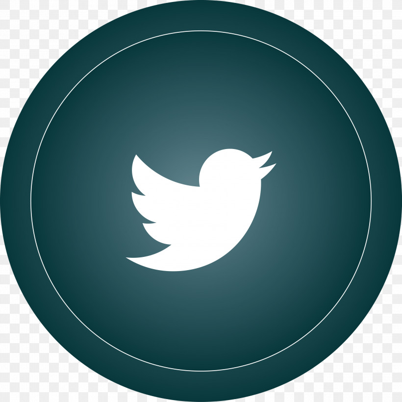 Twitter, PNG, 2999x3000px, Twitter, Blog, Company, Internet, Kelvin Download Free