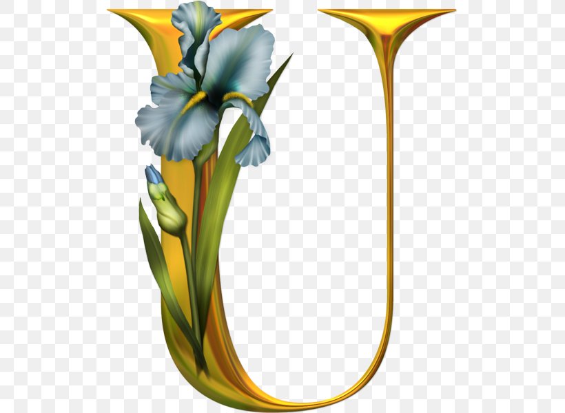 Alphabet Letter U Font, PNG, 511x600px, Alphabet, Cut Flowers, Flora, Flower, Flowering Plant Download Free