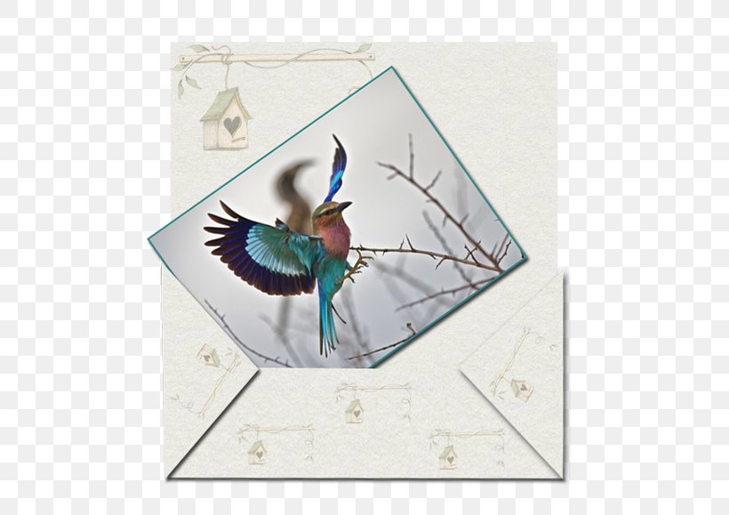 Book Parchment Writing Feather, PNG, 538x579px, Book, Beak, Bird, Email, Envelope Download Free