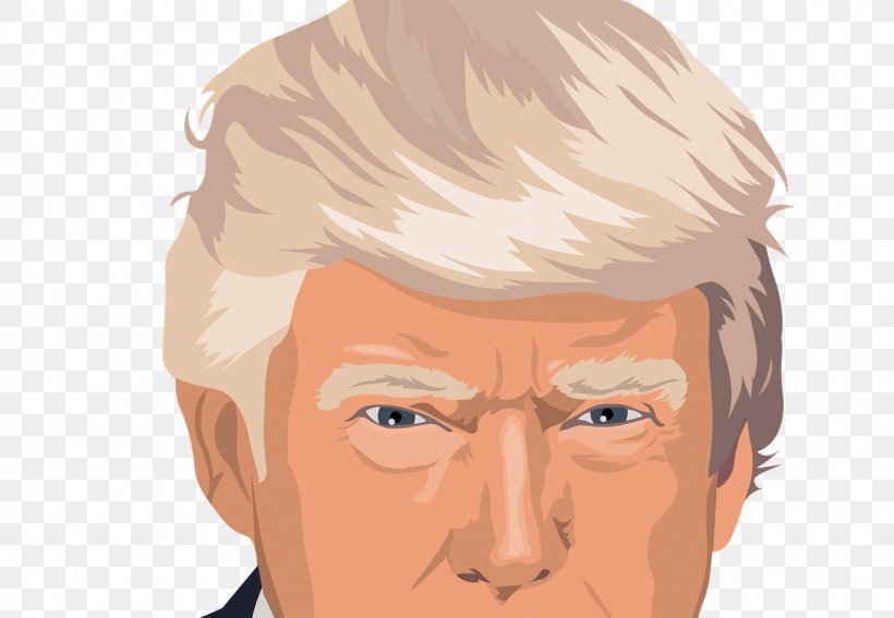 Donald Trump Drawing, PNG, 1469x1016px, Presidency Of Donald Trump, Cartoon,  Cheek, Chin, Donald Trump Download Free