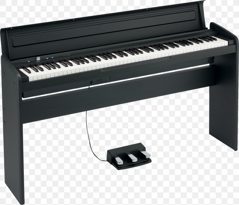 KORG LP-180 Digital Piano Keyboard KORG LP-380 Korg B1, PNG, 1200x1030px, Watercolor, Cartoon, Flower, Frame, Heart Download Free