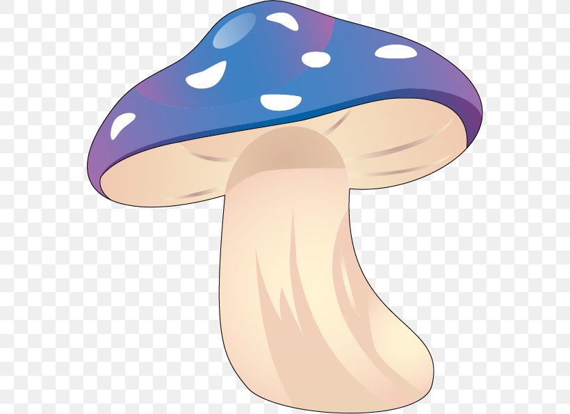 Amanita Muscaria Common Mushroom Fungus Clip Art, PNG, 570x595px, Amanita Muscaria, Amanita, Common Mushroom, Drawing, Fungus Download Free