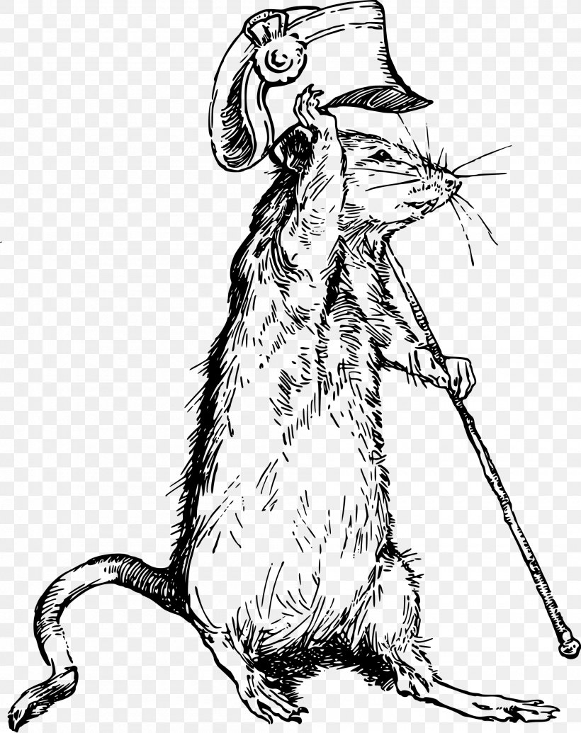 Cat Rat Mouse Mammal Rodent, PNG, 1900x2400px, Cat, Animal, Art, Artwork, Black And White Download Free