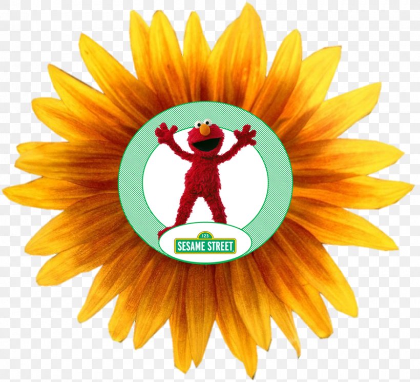Common Sunflower Clip Art, PNG, 880x800px, Common Sunflower, Daisy Family, Flower, Flowering Plant, Image File Formats Download Free
