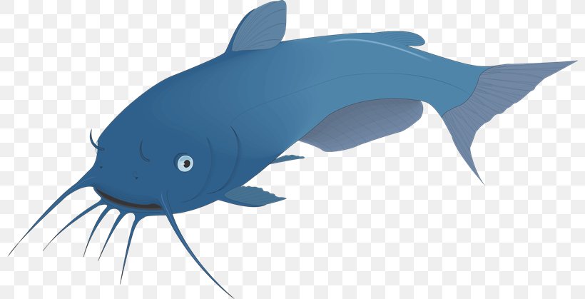 Catfish Tiger Shark Clip Art, PNG, 800x419px, Catfish, Bony Fish, Carp, Cartilaginous Fish, Dolphin Download Free
