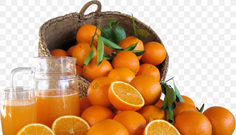 Clementine Orange Juice Bitter Orange Tangerine Mandarin Orange, PNG, 894x513px, Clementine, Bitter Orange, Calamondin, Citric Acid, Citrus Download Free