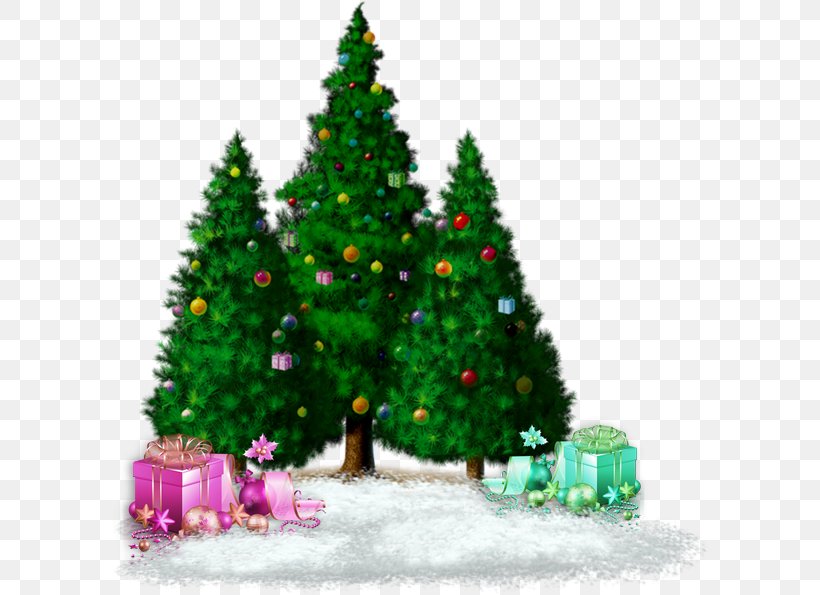 Christmas Tree Christmas Ornament Advent Holiday, PNG, 600x595px, Christmas Tree, Advent, Birthday, Blog, Candle Download Free