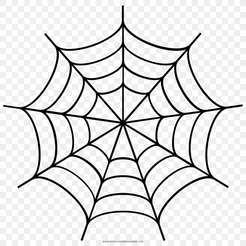 Spider Web Drawing, PNG, 1000x1000px, Spider, Area, Artwork, Black And White, Drawing Download Free