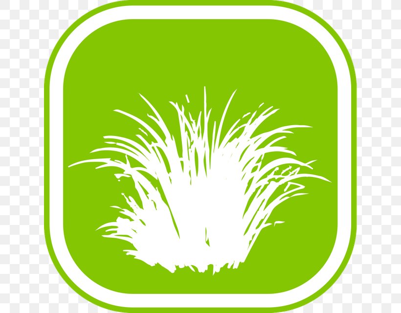 Clip Art Grasses Illustration Commodity Leaf, PNG, 640x640px, Grasses, Area, Black And White, Commodity, Flora Download Free