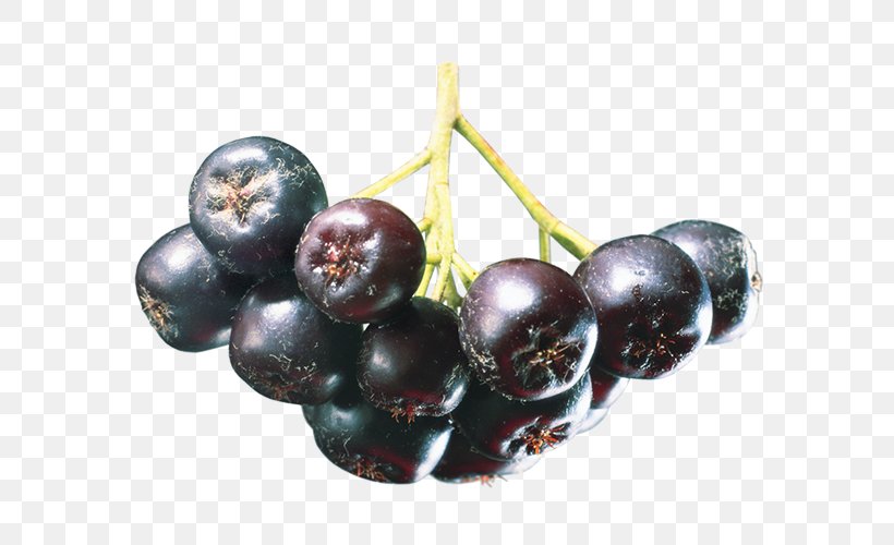 Juice Aronia Melanocarpa Mountain-ash Berry Fruit, PNG, 600x500px, Juice, Aronia Melanocarpa, Auglis, Berry, Bilberry Download Free