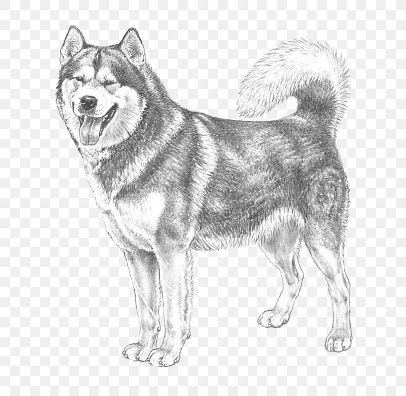 St. Bernard Alaskan Malamute German Pinscher Puppy Greenland Dog, PNG, 800x800px, St Bernard, Alaskan Malamute, Ancient Dog Breeds, Artwork, Black And White Download Free