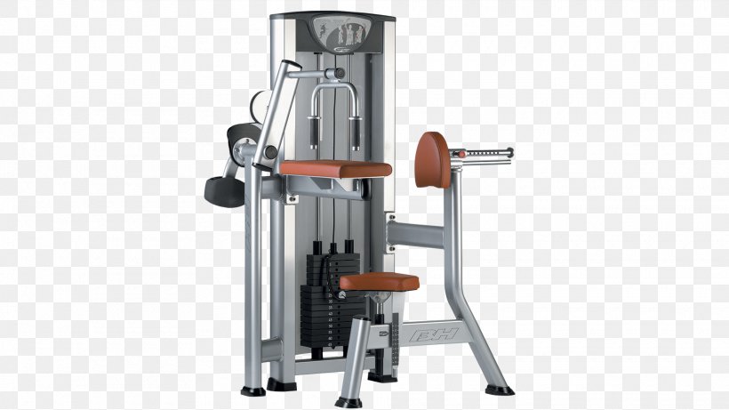 Weightlifting Machine Fitness Centre, PNG, 1920x1080px, Weightlifting Machine, Exercise Equipment, Exercise Machine, Fitness Centre, Gym Download Free