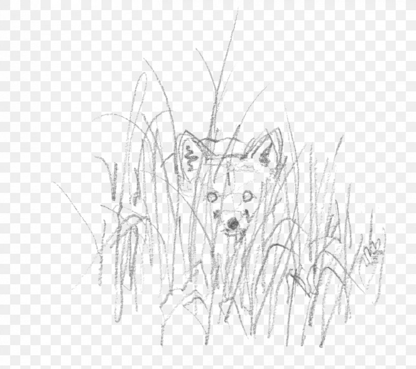 Whiskers Line Art Cartoon White Sketch, PNG, 1352x1200px, Whiskers, Artwork, Black And White, Branch, Carnivoran Download Free