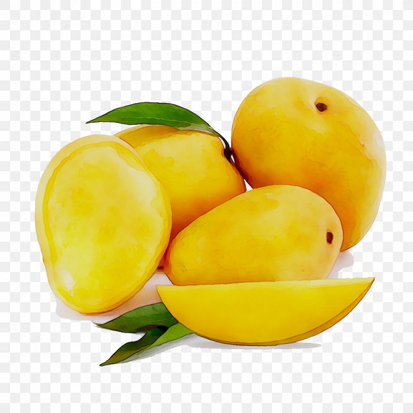Alphonso Mango Fruit Mangifera Indica Totapuri, PNG, 1240x1240px, Alphonso, Ataulfo, European Plum, Flowering Plant, Food Download Free