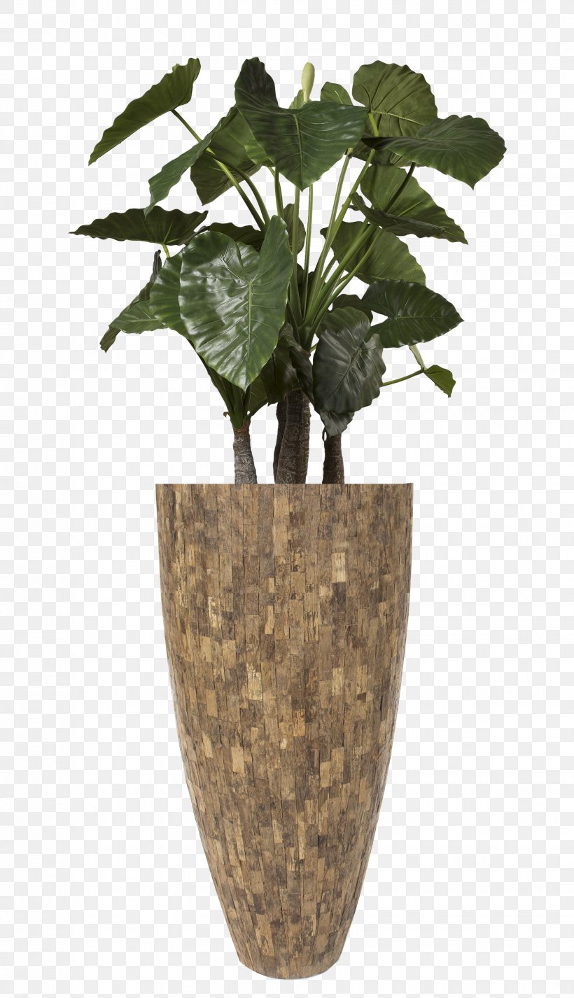 Hydrozorg Interieurbeplanting Flowerpot Vase Teak, PNG, 1959x3409px, Hydrozorg Interieurbeplanting, Alocasia, Column, Computer, Cylinder Download Free