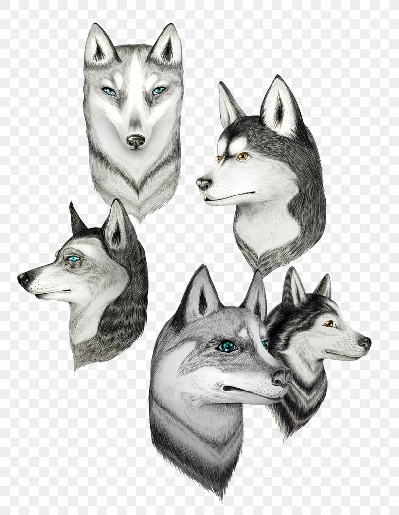 Siberian Husky Canidae Drawing Illustration, PNG, 1200x1551px, Siberian Husky, Animal, Black Wolf, Canidae, Carnivoran Download Free