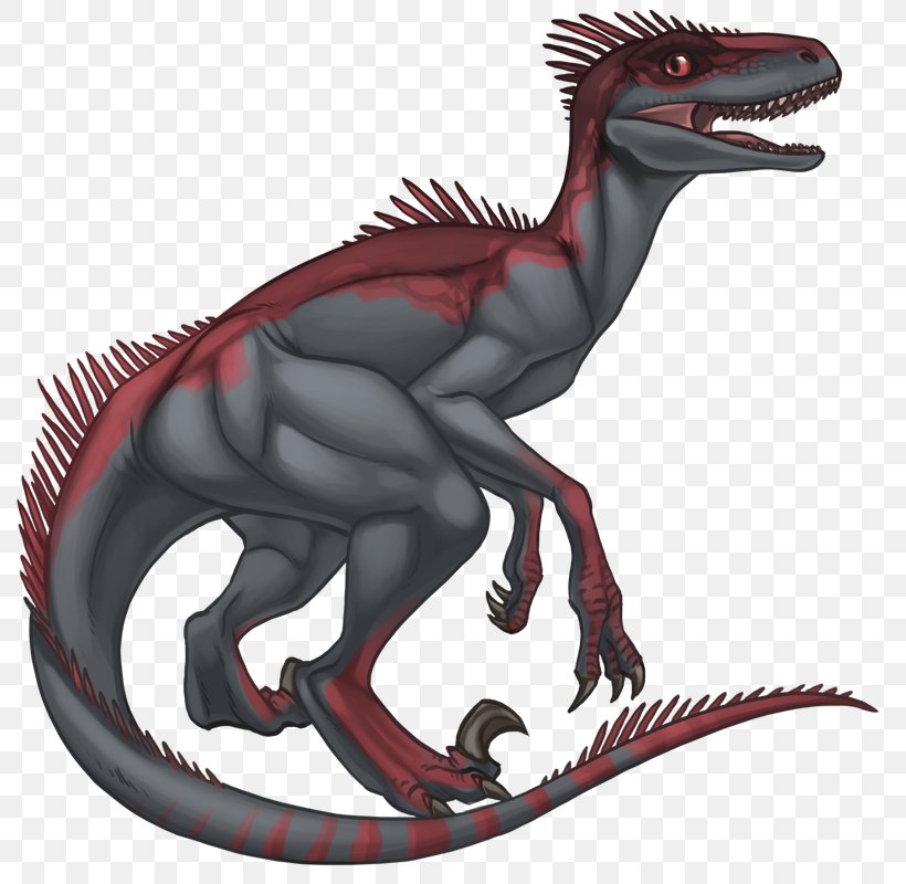 Velociraptor Tyrannosaurus, PNG, 800x800px, Velociraptor, Dinosaur ...