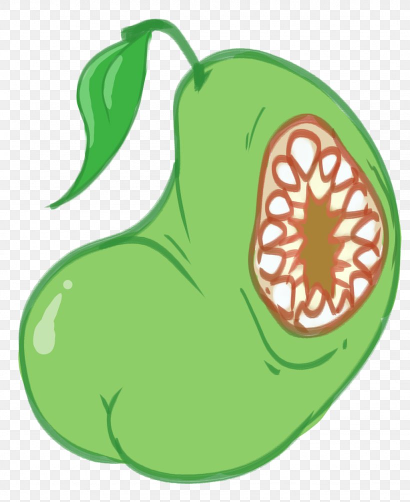 Cucurbita Pear Apple Clip Art, PNG, 1024x1254px, Cucurbita, Apple, Flowering Plant, Food, Fruit Download Free