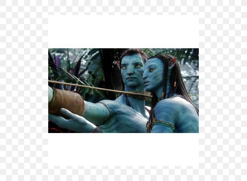 Jake Sully Neytiri Action Film Film Criticism, PNG, 800x600px, Jake Sully, Action Film, Avatar, Avatar 2, Avatar The Last Airbender Download Free