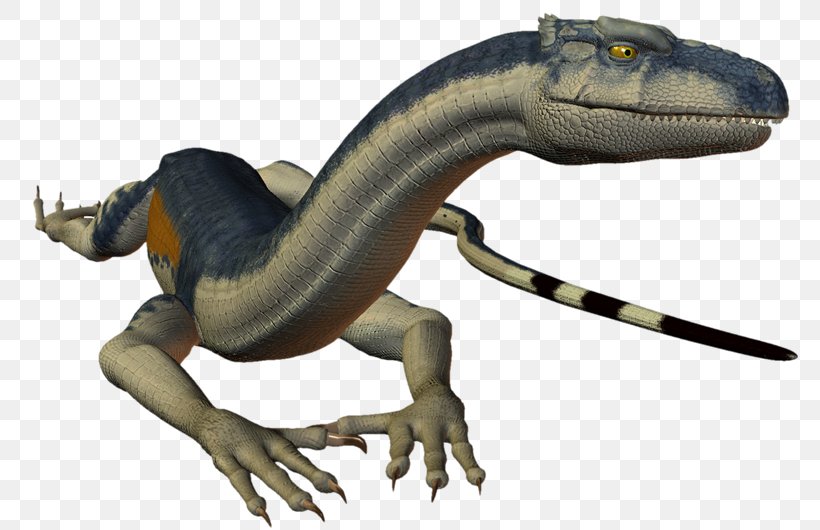 Lizard Velociraptor Animal Dinosaur Amphibian, PNG, 800x530px, Lizard, Amphibian, Animal, Animal Figure, Dinosaur Download Free