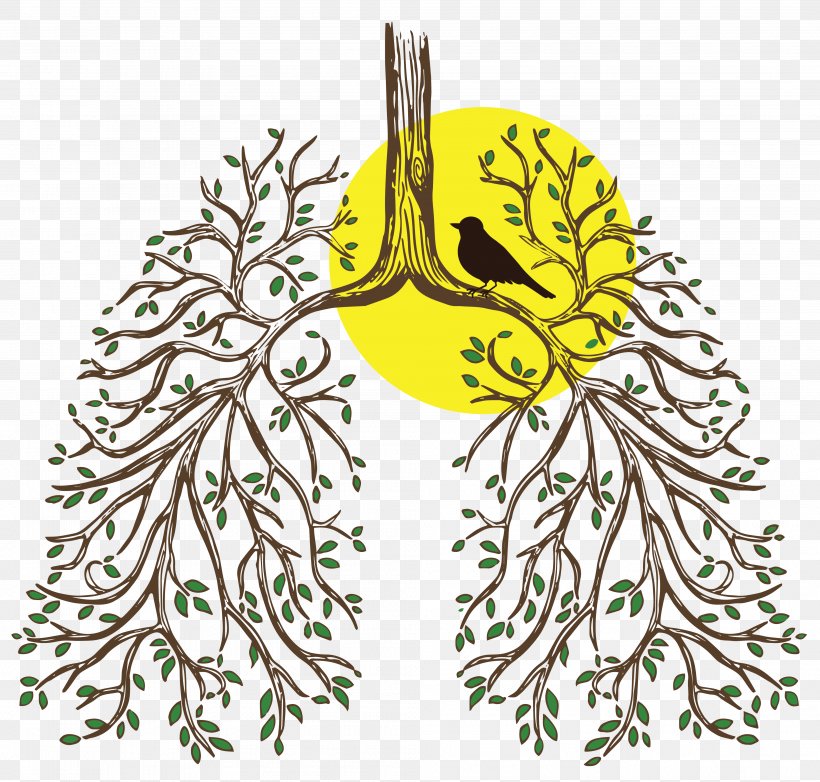 Primary Ciliary Dyskinesia Breathing T-shirt Lung Transplantation, PNG, 3975x3791px, Primary Ciliary Dyskinesia, Art, Beak, Bird, Branch Download Free