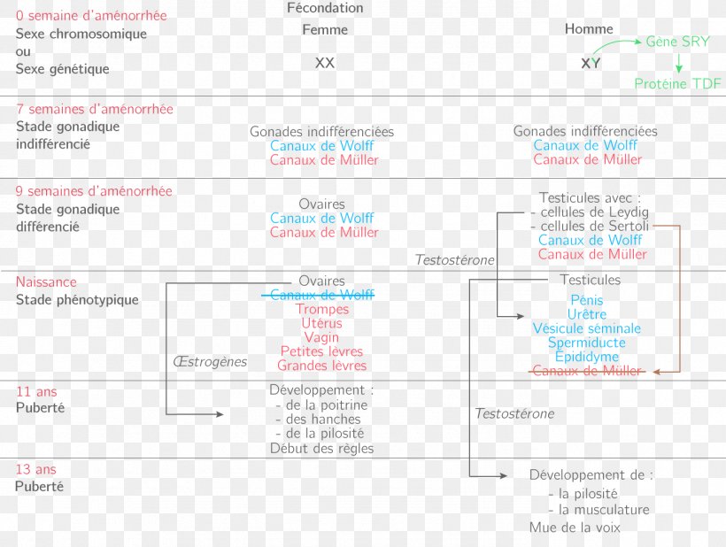 Web Page Screenshot Line Font, PNG, 1387x1047px, Web Page, Area, Brand, Diagram, Document Download Free