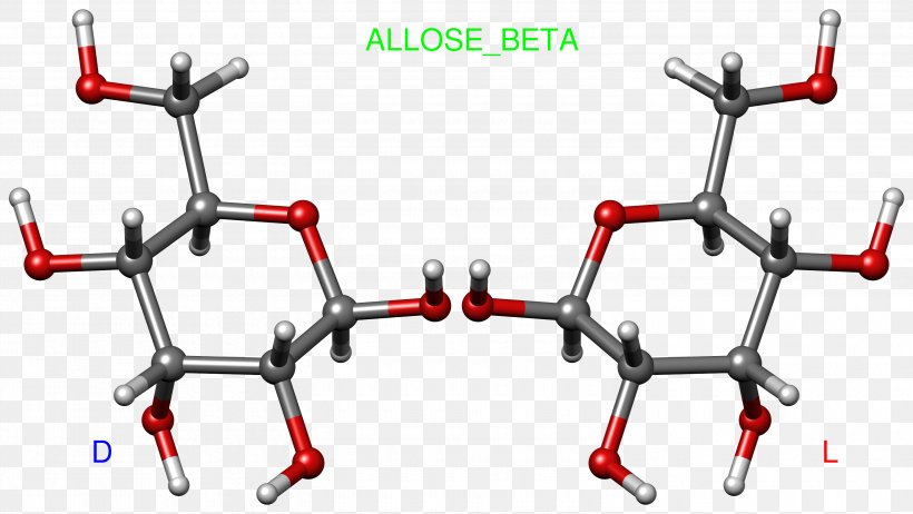 Allose Carbohydrate Arabinose Altrose Glucose, PNG, 3000x1692px, Allose, Aldohexose, Altrose, Animaatio, Arabinose Download Free