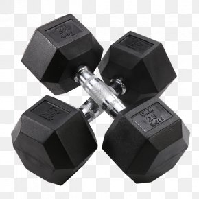 Dumbbell - Dumbbell Exercise Equipment Weight Training Human Body PNG