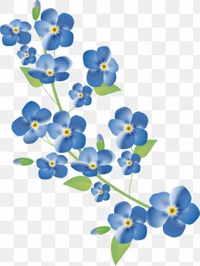 Forget Me Not Flowers Images Forget Me Not Flowers Transparent Png Free Download