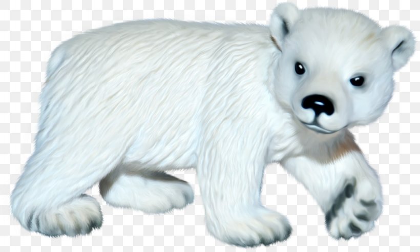 International Polar Bear Day Arctic Fox, PNG, 1024x615px, Watercolor, Cartoon, Flower, Frame, Heart Download Free