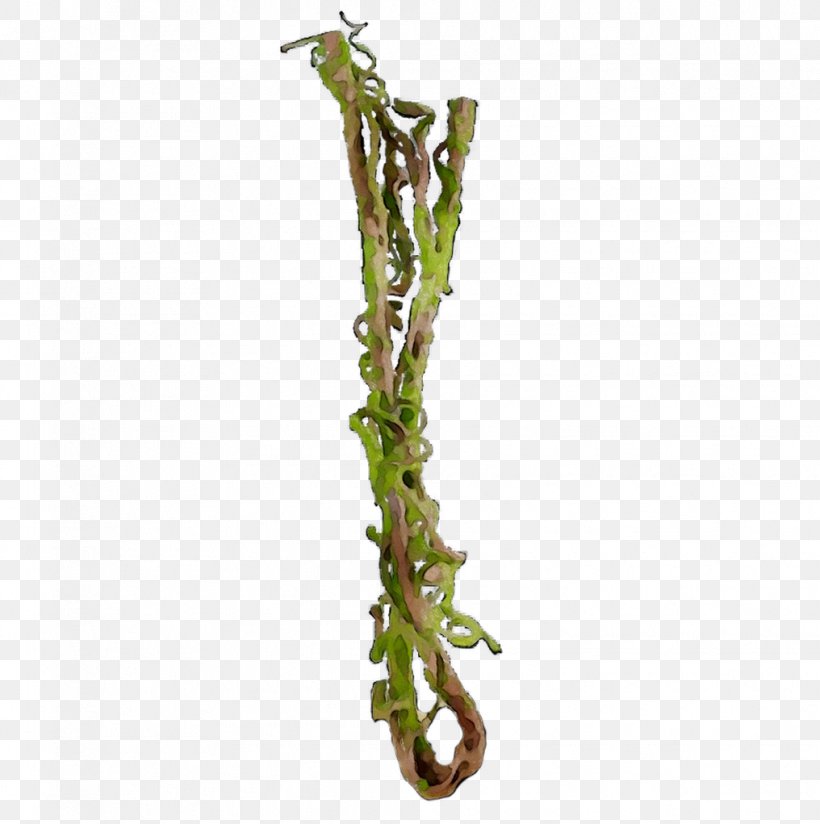 Twig Plant Stem Plants, PNG, 1016x1021px, Twig, Aquarium Decor, Branch, Flower, Plant Download Free