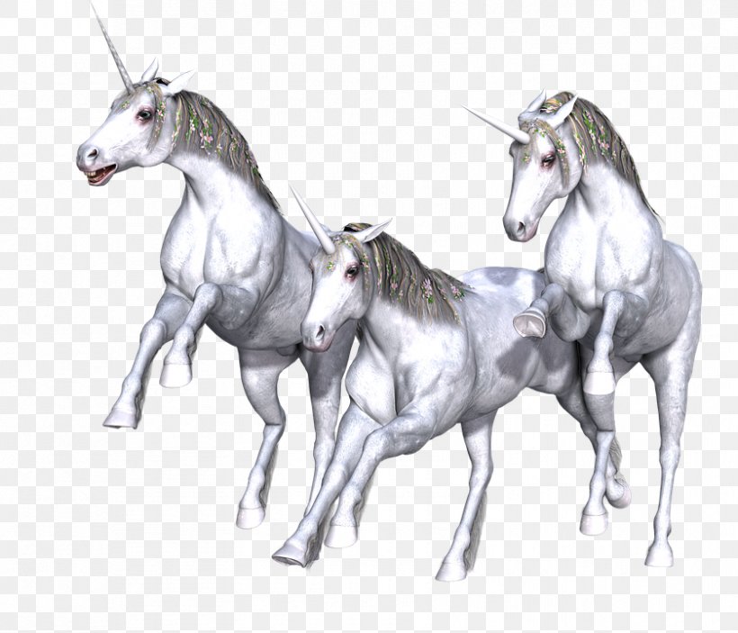 Unicorn Horn Fairy Tale Mythology Horse, PNG, 839x720px, Unicorn, Drawing, Fairy Tale, Fauna, Fictional Character Download Free