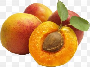 Apricot Clipart - Vaisiaus Kauliukas Apricot Kernel Amygdalin Kompot PNG