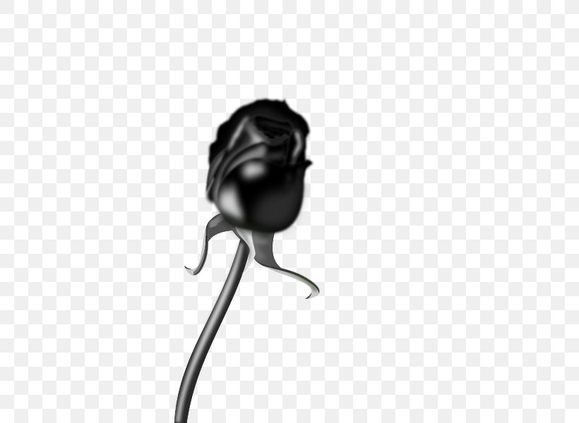 Black Rose Clip Art, PNG, 424x600px, Black Rose, Black, Black And White, Blog, Flower Download Free