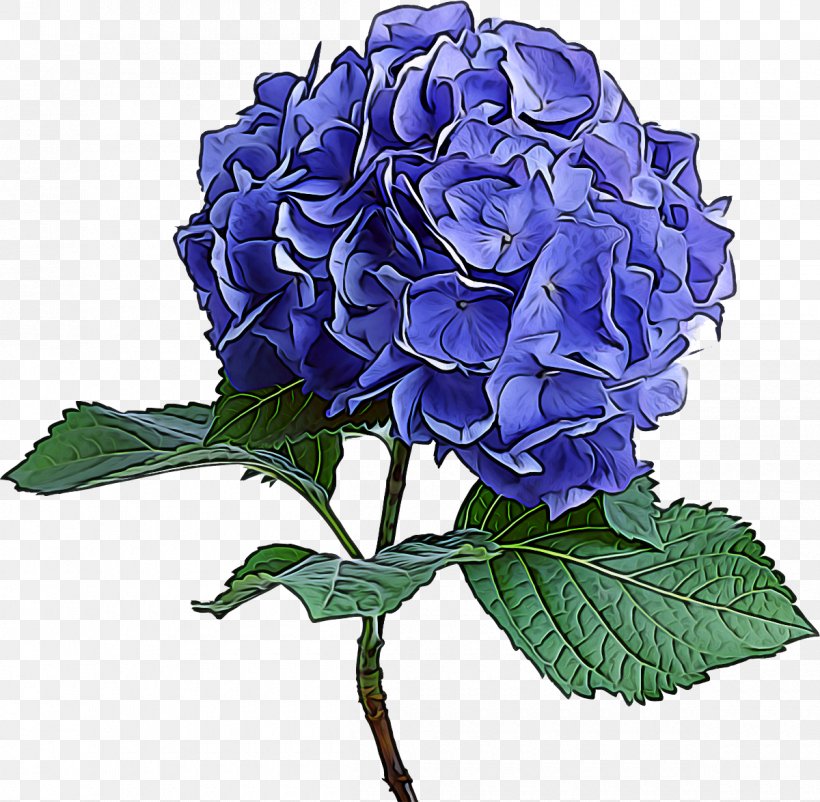 Flower Flowering Plant Hydrangea Blue Plant, PNG, 1200x1174px, Flower, Blue, Cornales, Cut Flowers, Flowering Plant Download Free