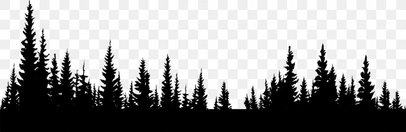 Forest Clip Art, PNG, 1280x417px, Forest, Black And White, Grass, Grass Family, Monochrome Download Free