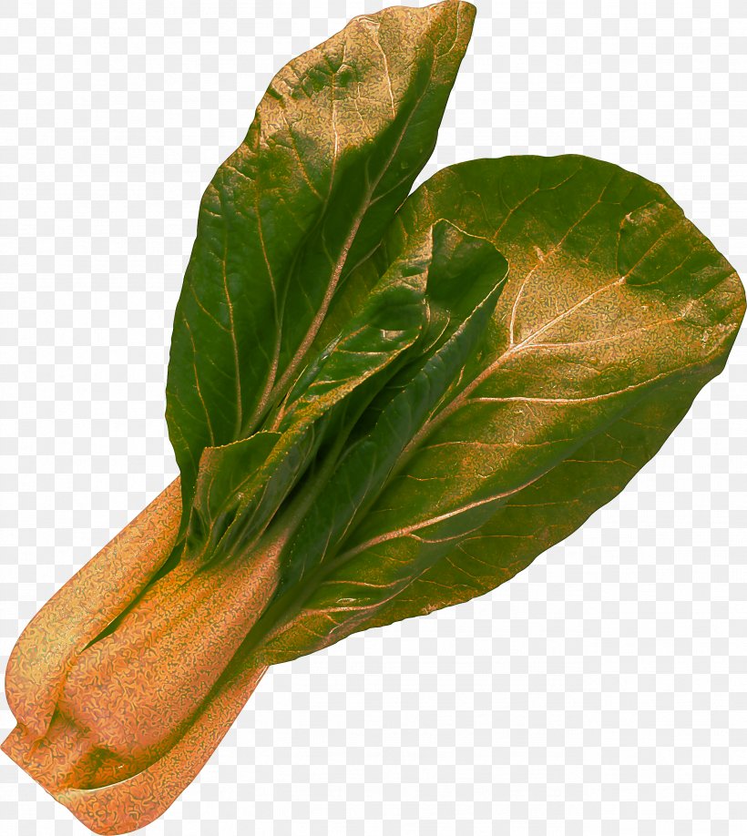 Leaf Choy Sum Leaf Vegetable Plant Flower, PNG, 2594x2906px, Leaf, Anthurium, Choy Sum, Flower, Food Download Free
