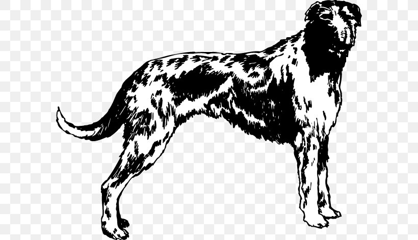 Dog Breed Afghan Hound Scottish Deerhound Sporting Group Decal, PNG, 600x471px, Dog Breed, Afghan Hound, Black And White, Breed, Carnivoran Download Free