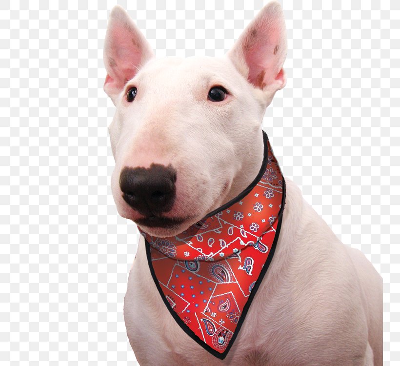 Dog Kerchief Scarf Pet Clothing, PNG, 750x750px, Dog, Buff, Bull And Terrier, Bull Terrier, Bull Terrier Miniature Download Free