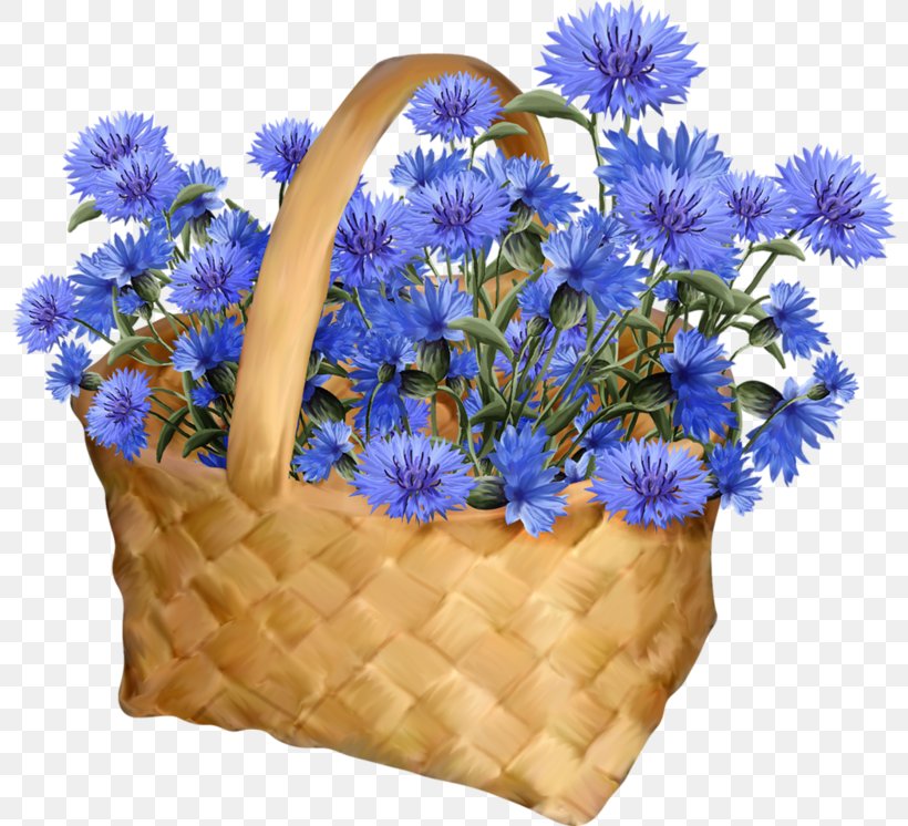 Flower Bouquet Cornflower Cut Flowers Boutonnière, PNG, 800x746px, Flower Bouquet, Artificial Flower, Aster, Blue, Cobalt Blue Download Free