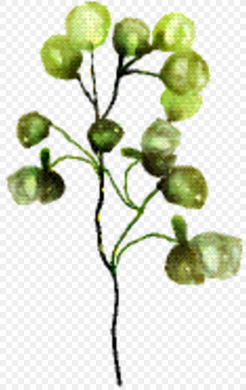 Fruit Tree, PNG, 938x1488px, Twig, Branch, Flower, Fruit, Leaf Download Free
