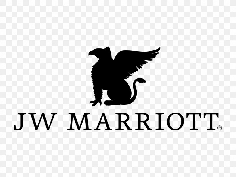 JW Marriott Hotels Marriott International Miami Beach Resort, PNG, 1024x768px, Jw Marriott Hotels, Amora Event Group, Artwork, Beak, Bird Download Free