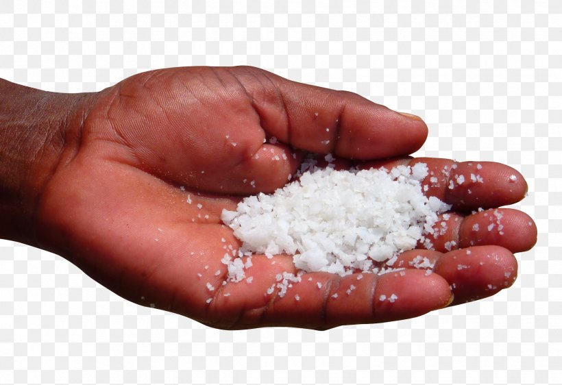 Salt Health, PNG, 1750x1200px, United States, Coin, English, Finger, Hand Download Free