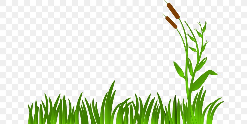 Green Grass Background, PNG, 667x413px, Give Away, Baby Shower, Child, Chives, Family Download Free