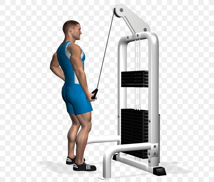 Pushdown Triceps Brachii Muscle Lying Triceps Extensions Bench Dumbbell, PNG, 700x700px, Pushdown, Arm, Balance, Barbell, Bench Download Free