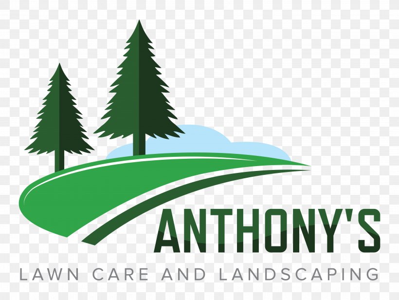 Anthony's Lawn Care And Landscaping Logo Leaf Brand, PNG, 3600x2708px, Lawn, Author, Bloomington, Brand, Energy Download Free